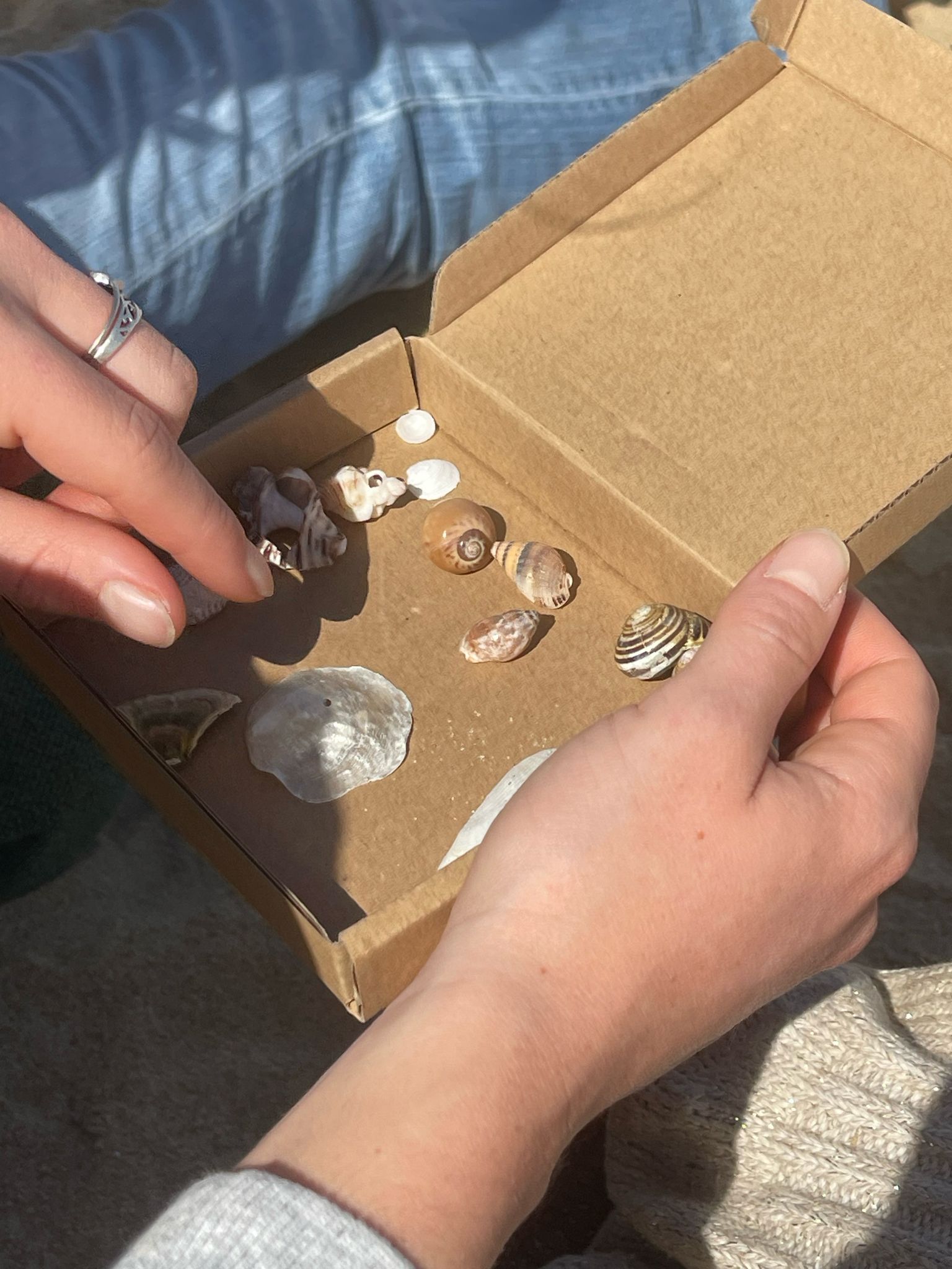 Enfants présentant leur collection de coquillages