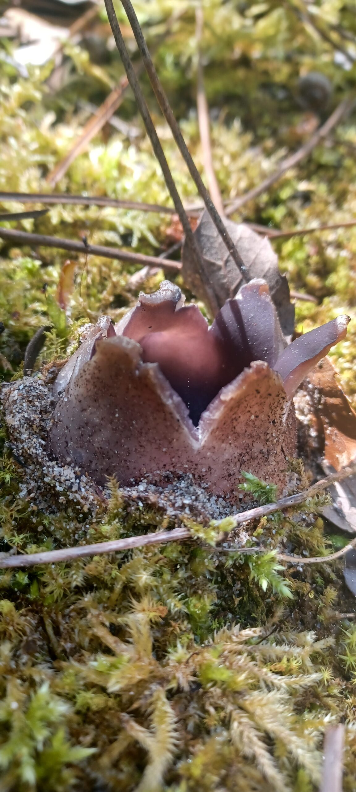 Moment amusant pendant une activité éducative avec P’tite Nature