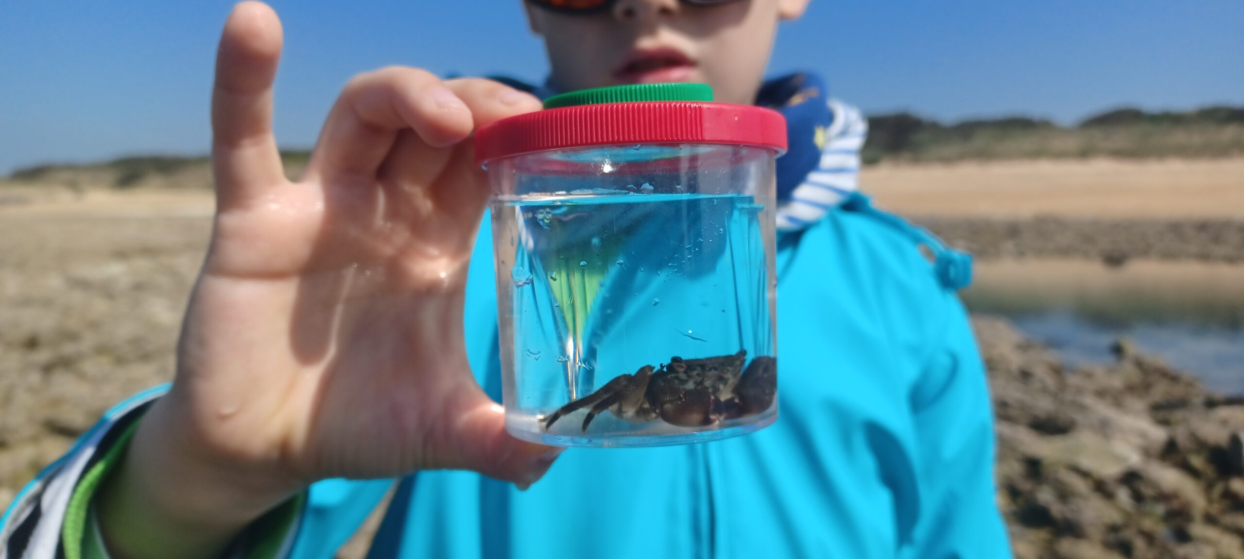 Enfant découvrant un crabe sur la plage d’Oléron pendant une animation nature