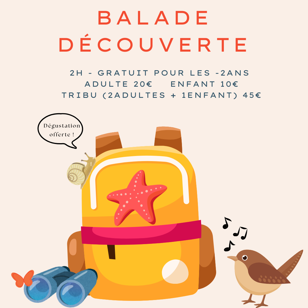 Balade découverte nature en famille à Oléron