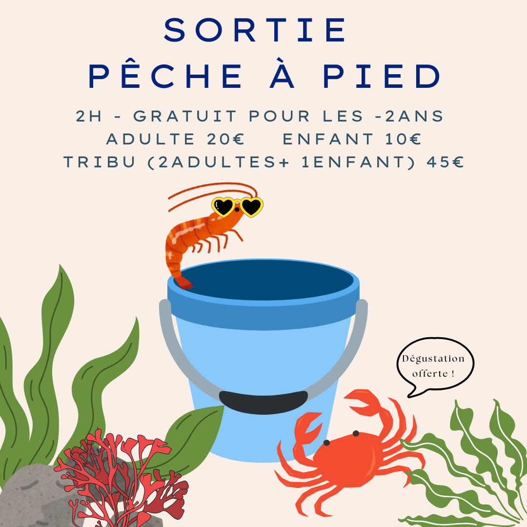 Sortie pêche à pied pour enfants sur l’île d’Oléron